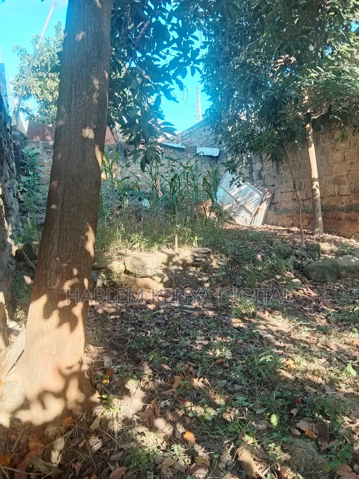 Obama Estate Land for Sale (Come Build Your House)Open for Negotiation