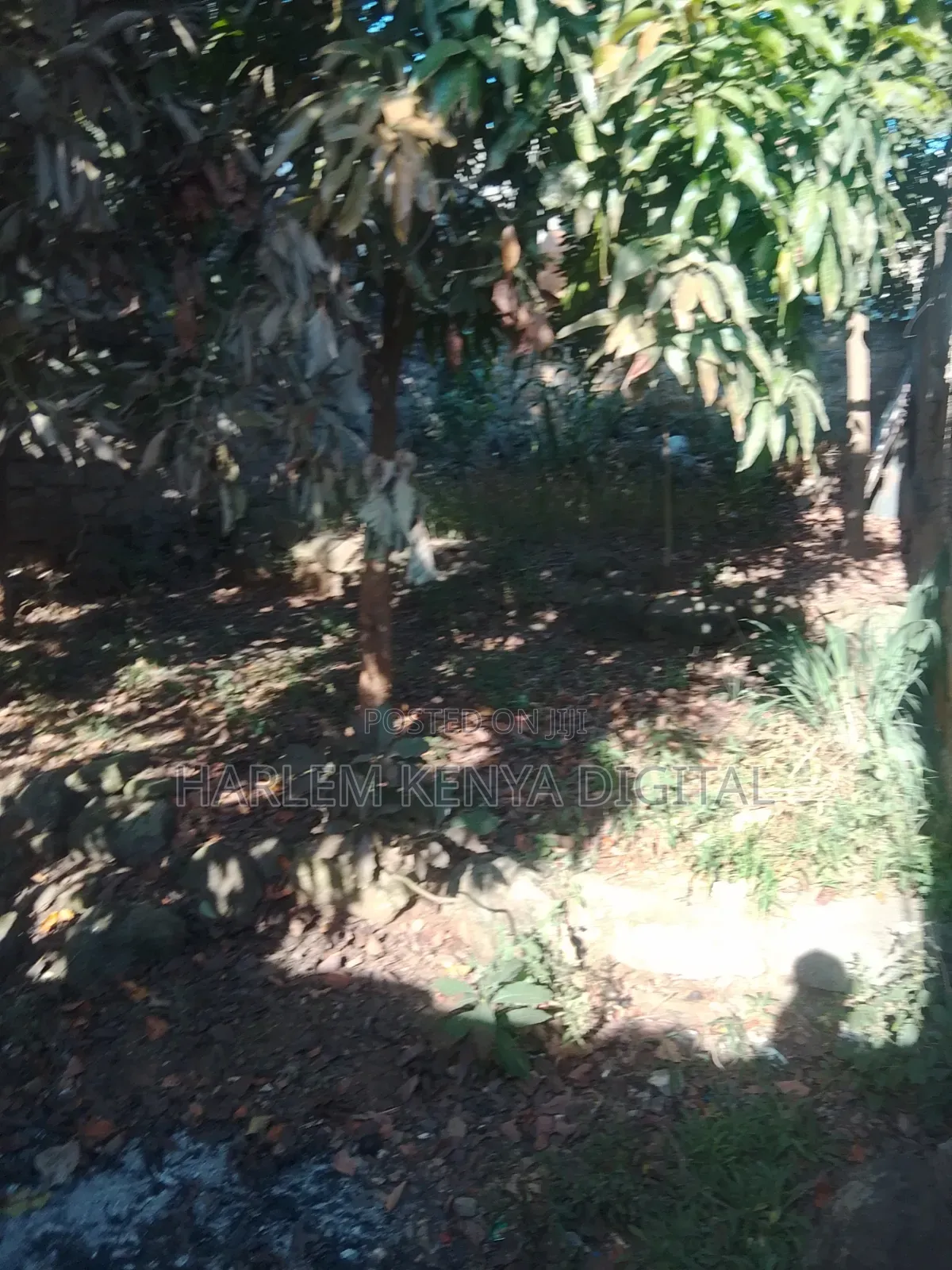 Obama Estate Land for Sale (Come Build Your House)Open for Negotiation
