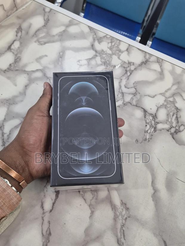 New Apple iPhone 12 Pro Max 256 GB Silver