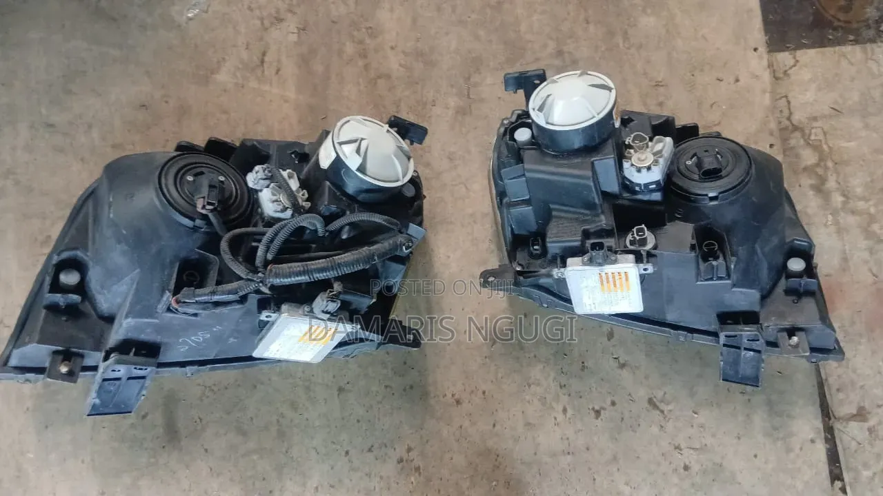 Escudo Headlight Xenon 2005-2008
