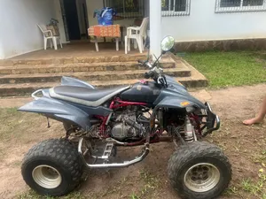 Yamaha 2009 Gray