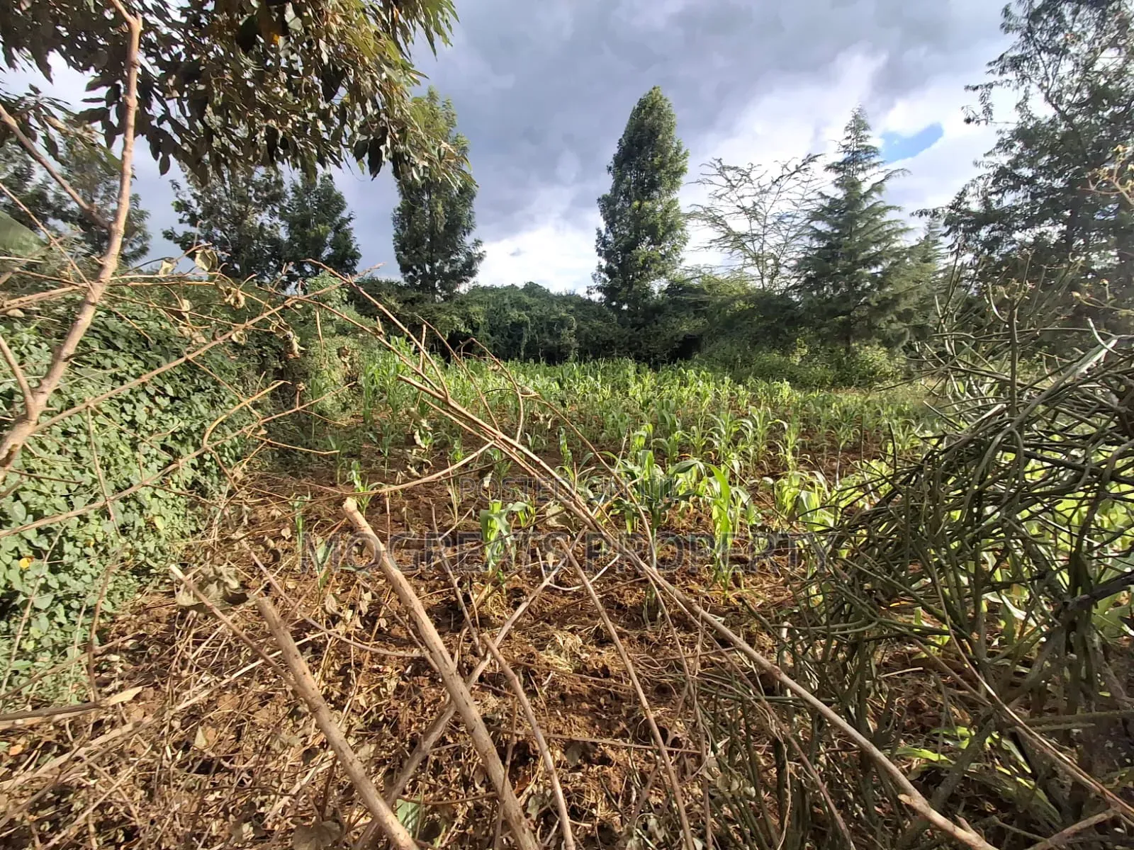 Plot for Sale Nakuru Simba Cement