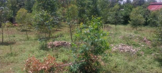 Plot for Sale - main view
