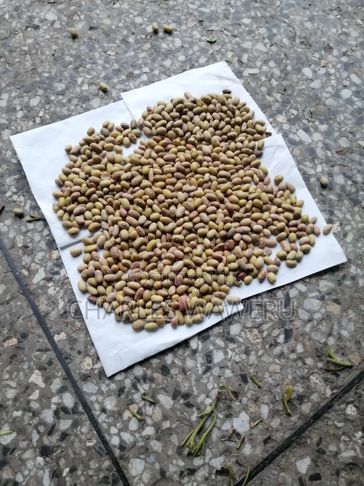 Yellow Beans