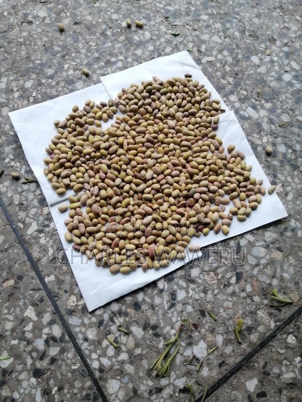 Yellow Beans