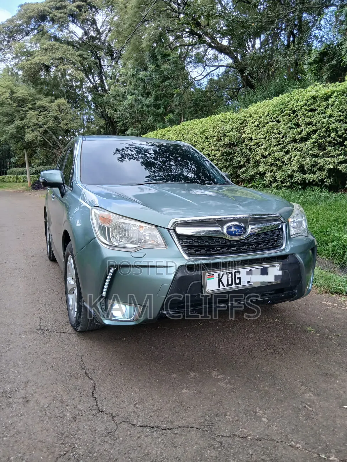 Subaru Forester 2015 Green