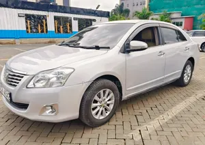 Toyota Premio 2009 Silver