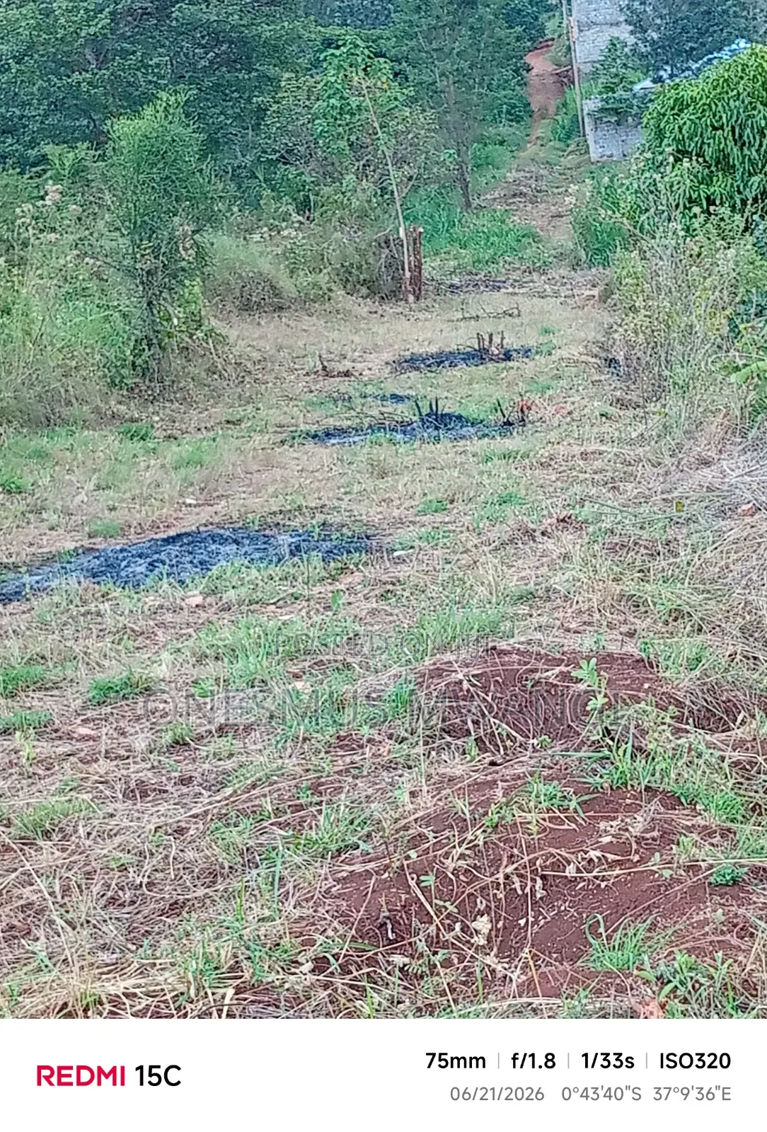 50 by 100 Residential/Commercial Plot for Sale in Mukuyu Muranga