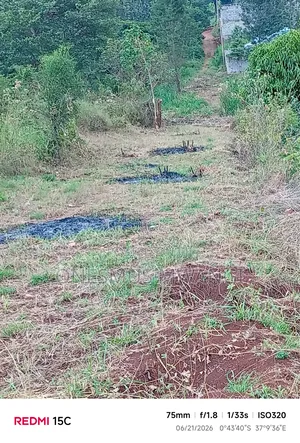 50 by 100 Residential/Commercial Plot for Sale in Mukuyu Muranga