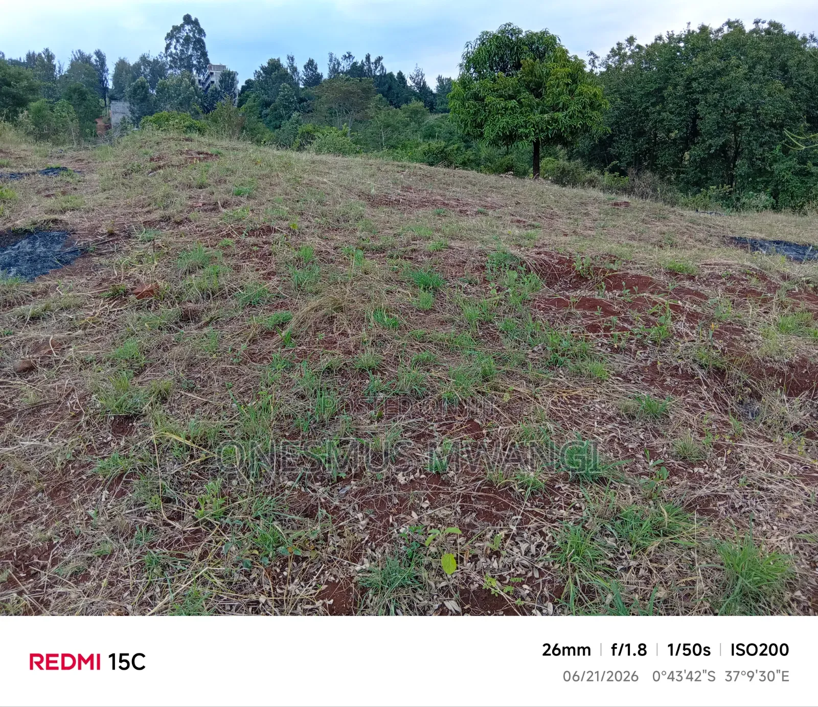 50 by 100 Residential/Commercial Plot for Sale in Mukuyu Muranga