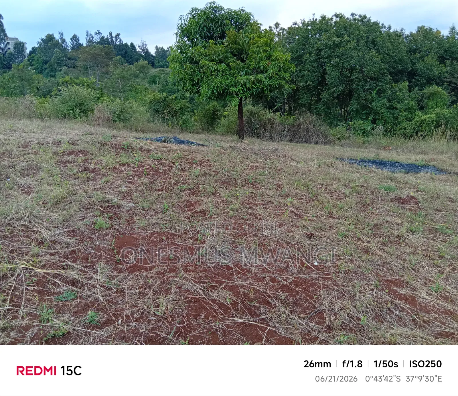 50 by 100 Residential/Commercial Plot for Sale in Mukuyu Muranga