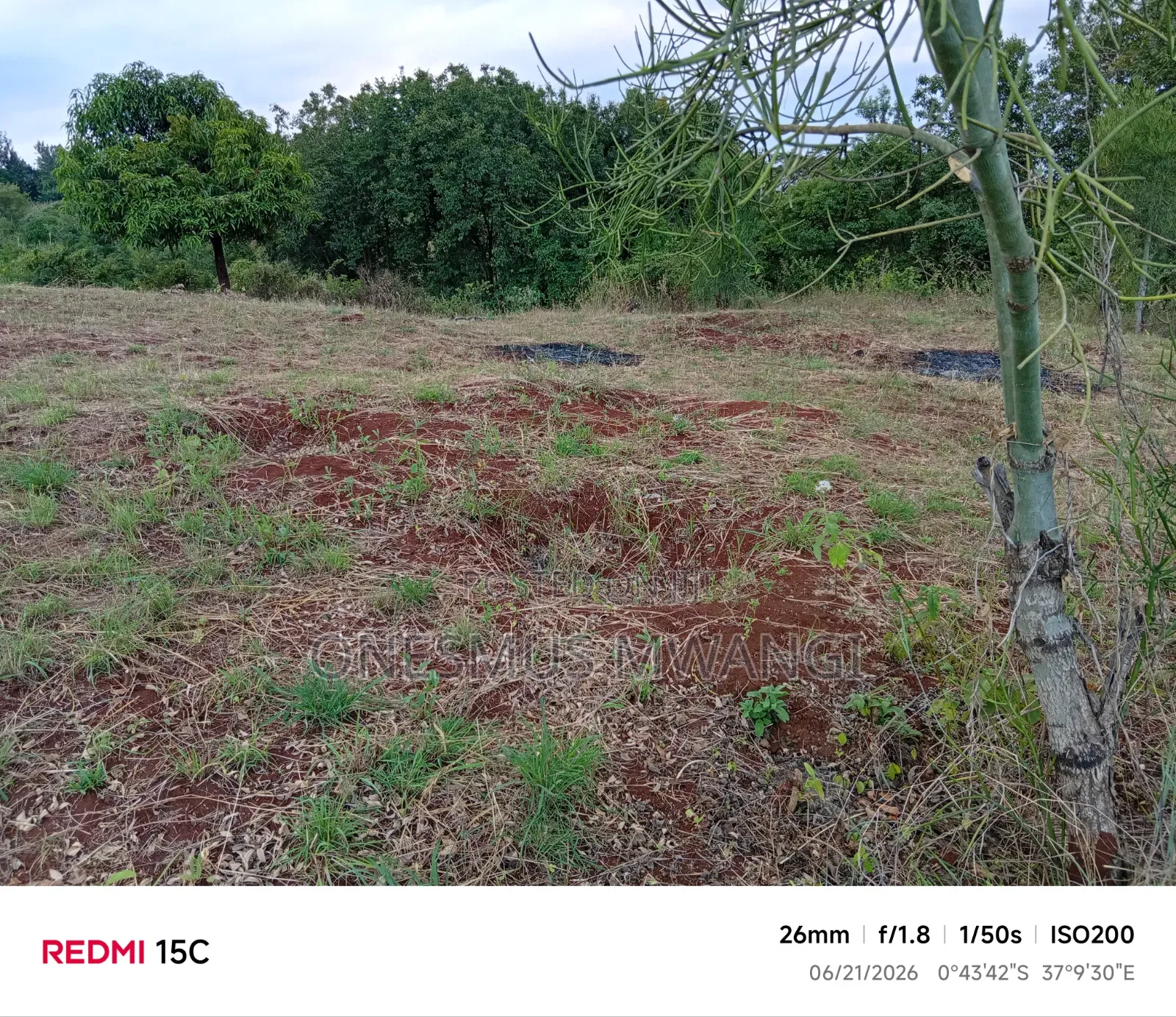 50 by 100 Residential/Commercial Plot for Sale in Mukuyu Muranga