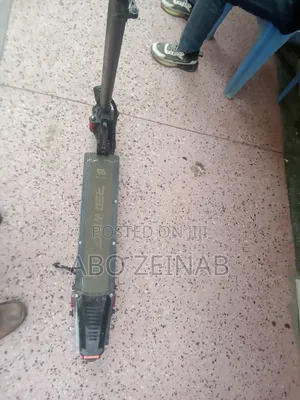 Electric Scooter