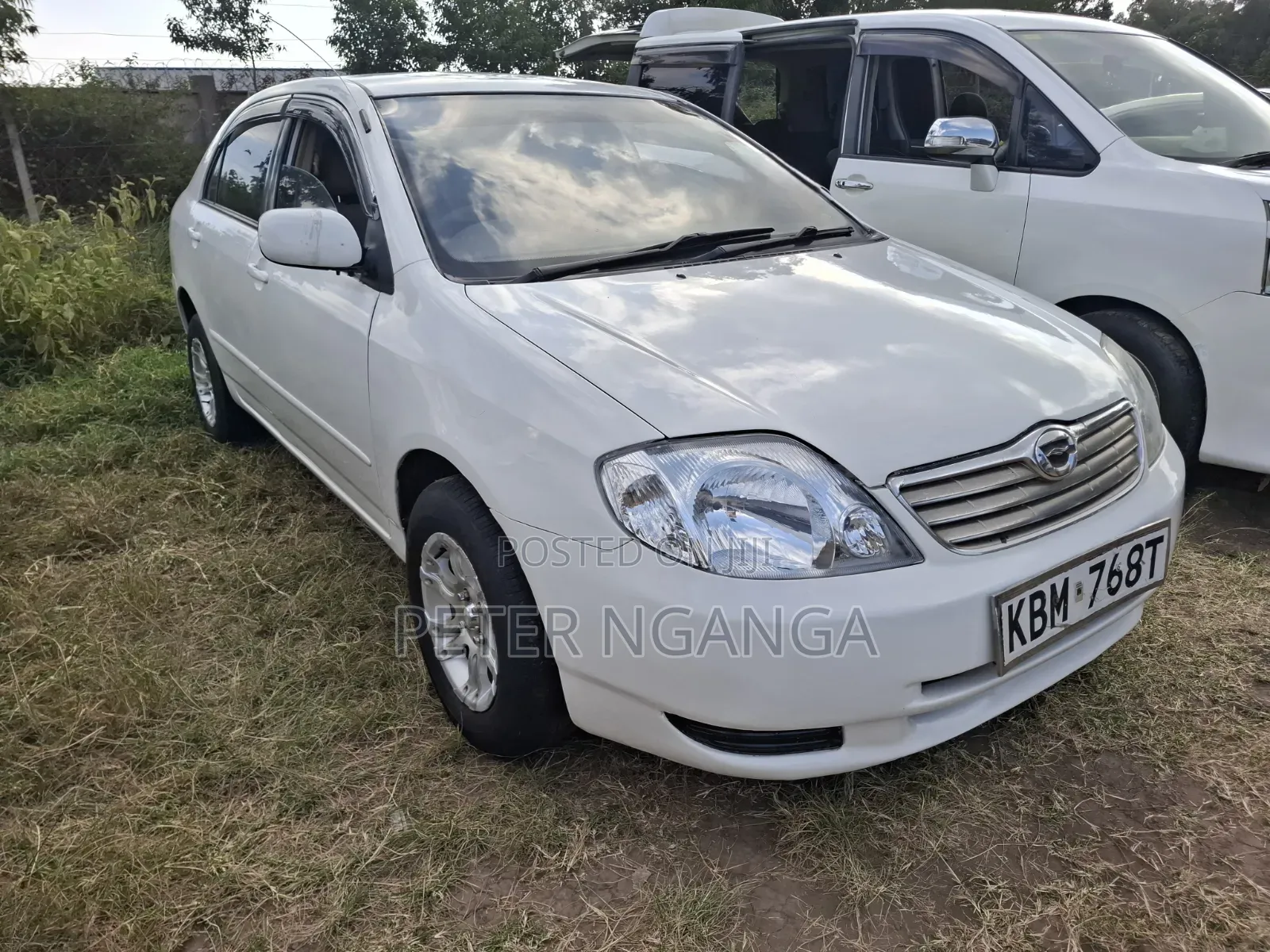 Toyota Corolla 2004 White