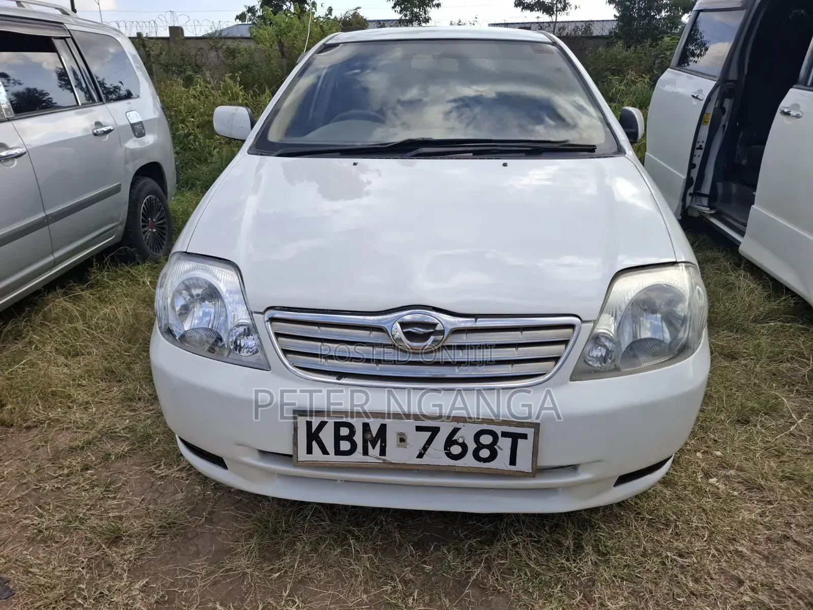 Toyota Corolla 2004 White