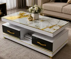 Rectangular Design Centre Coffee Table With Storage - Marble Top