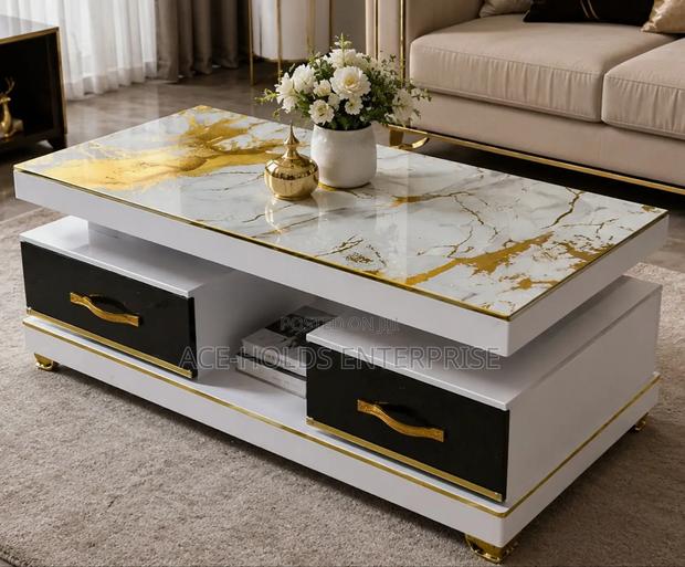 Rectangular Design Centre Coffee Table With Storage - Marble Top