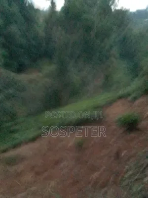 Agricultural Land Kariko Othaya 1.8 Acres
