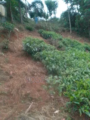 Agricultural Land Kariko Othaya 1.8 Acres