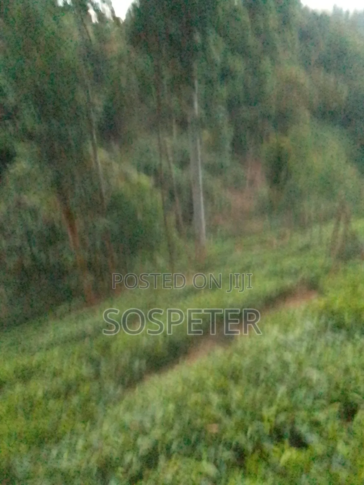 Agricultural Land Kariko Othaya 1.8 Acres