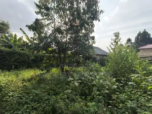 Residential Eighth Acre Plot for Sale in Kikuyu, Ondiri Area