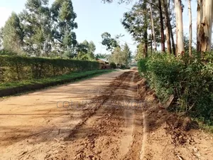 3 Plots for Sale 50by100 Per Plots Direct Transfer Title Bukembe
