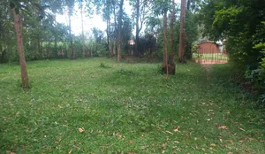 3 Plots for Sale 50by100 Per Plots Direct Transfer Title Bukembe