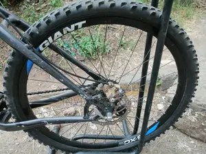 Specialized Bike