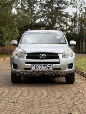 Toyota RAV4 2010 Silver