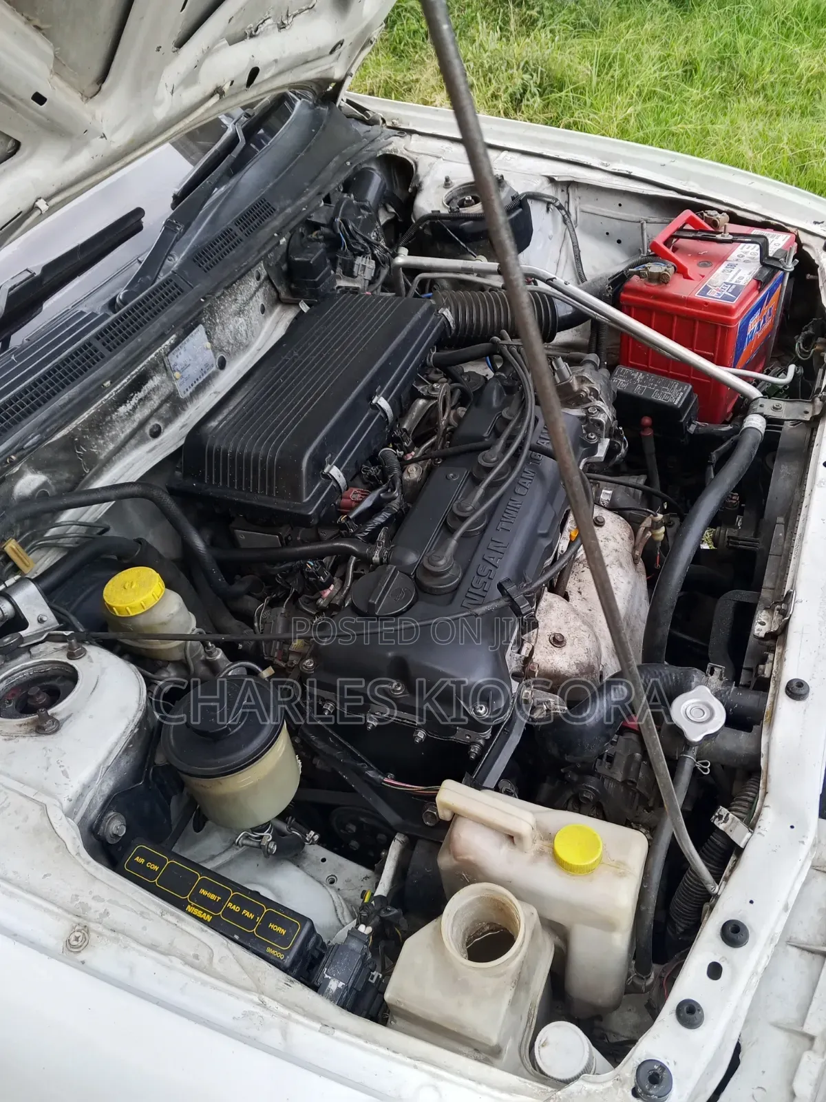 Nissan Sunny 2000 White
