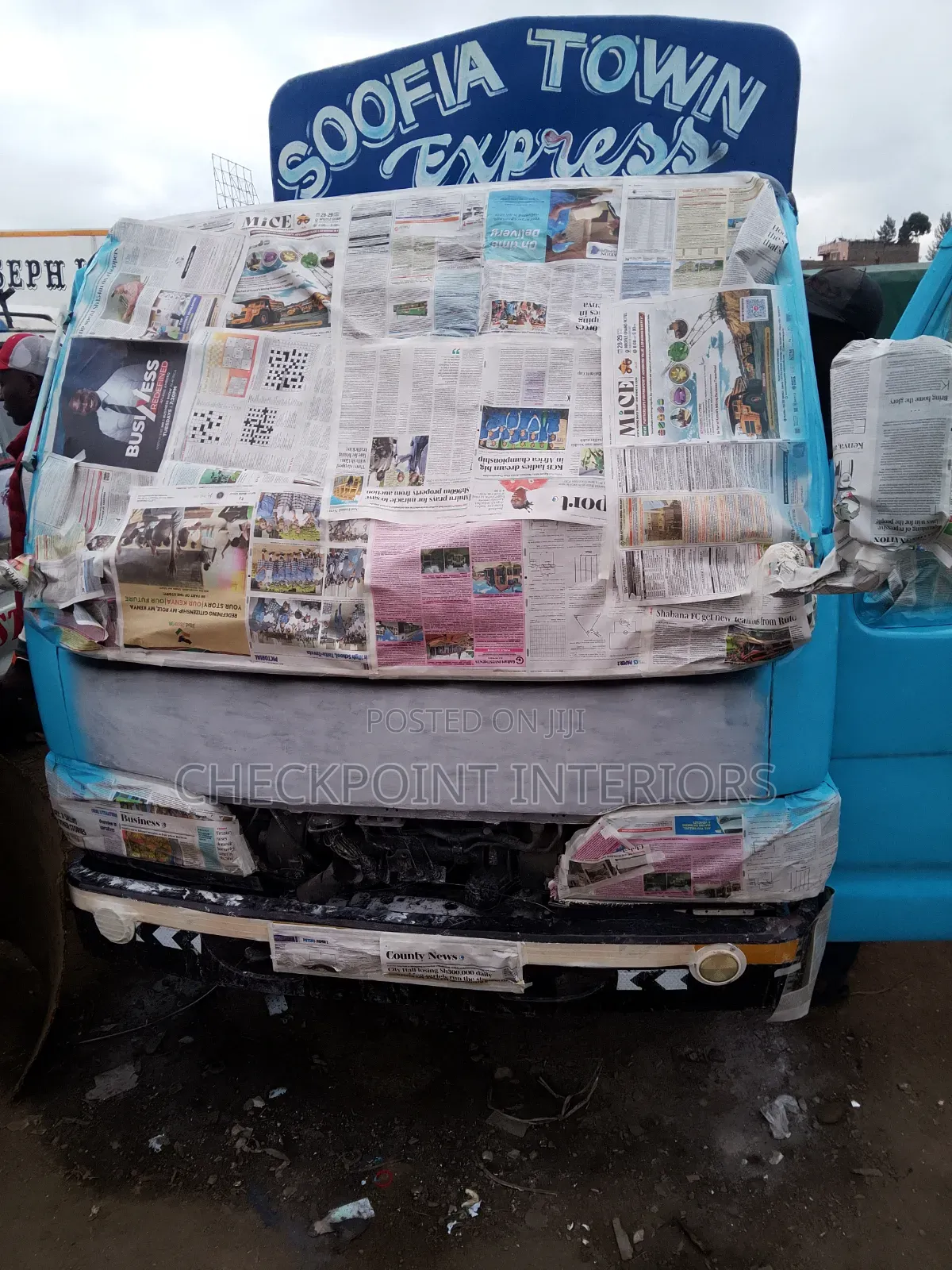 Professional Auto and Home Painter