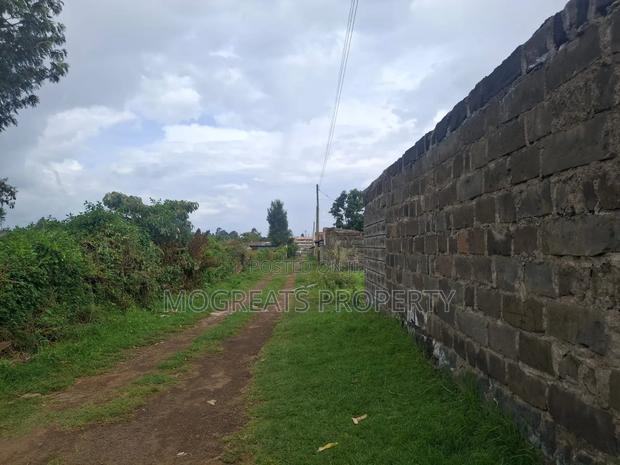 1/4 Acre Plots for Sale at Mercy Njeri Nakuru - thumbnail 3