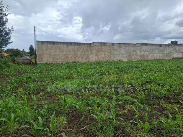 1/4 Acre Plots for Sale at Mercy Njeri Nakuru - thumbnail 4