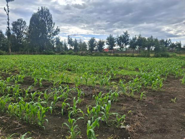 1/4 Acre Plots for Sale at Mercy Njeri Nakuru - thumbnail 5