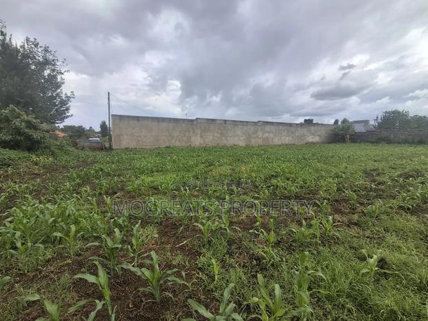 1/4 Acre Plots for Sale at Mercy Njeri Nakuru - thumbnail 6