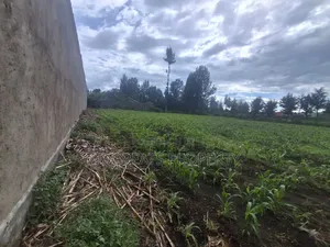 1/4 Acre Plots for Sale at Mercy Njeri Nakuru