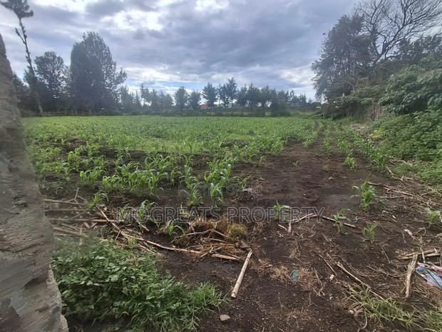 1/4 Acre Plots for Sale at Mercy Njeri Nakuru - thumbnail 7