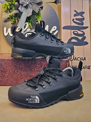 Thenorthface Men Shoes