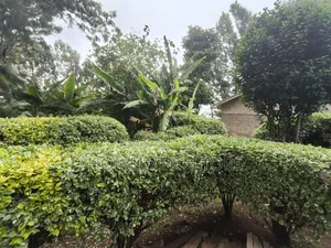 Quarter Acre Plot With a 3-Bedroomed House for Sale in Ngong Town