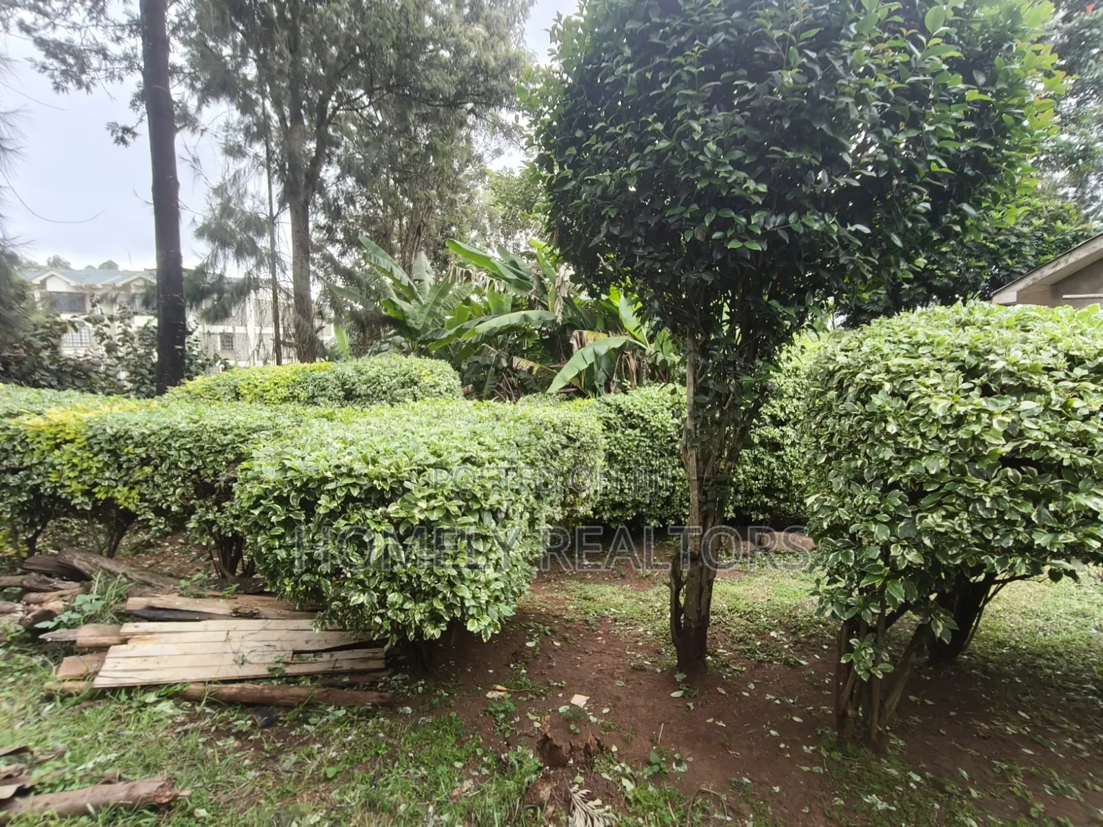Quarter Acre Plot With a 3-Bedroomed House for Sale in Ngong Town