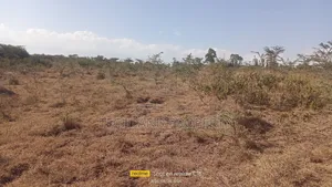 2 1/4 Acres Nairutia Kieni Nyeri.