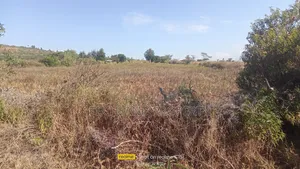 2 1/4 Acres Nairutia Kieni Nyeri.