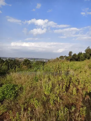 50×100 Plots for Sale in Kiserian.