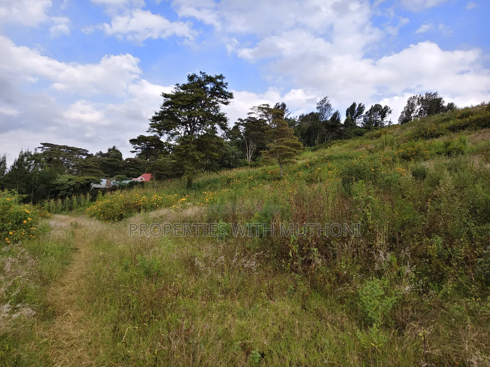 50×100 Plots for Sale in Kiserian.