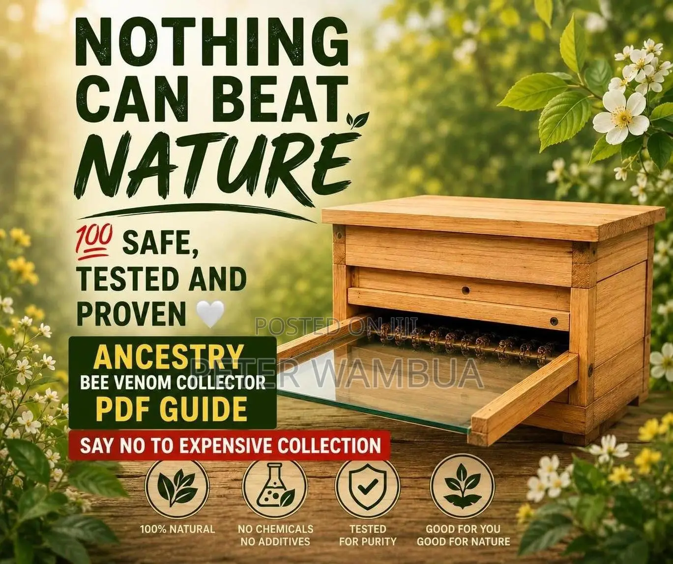 Bee Venom Collector (Ancestry PDF Guide)