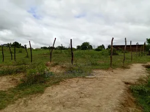 50 By 100 L, Plots For Sale. Mariakani Kibanda Asara.
