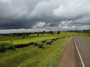 A Prime 64-Acre Tea Plantation Land