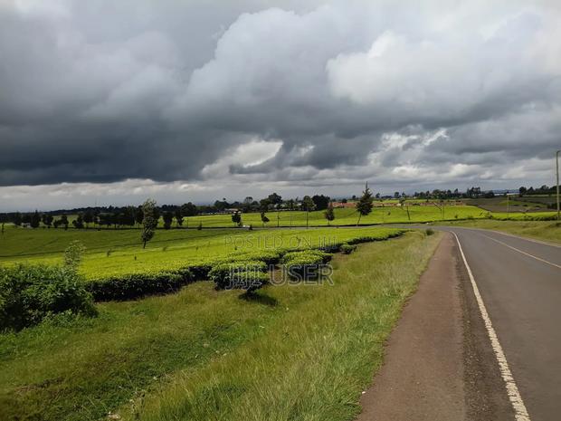 A Prime 64-Acre Tea Plantation Land