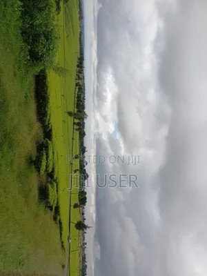 A Prime 64-Acre Tea Plantation Land
