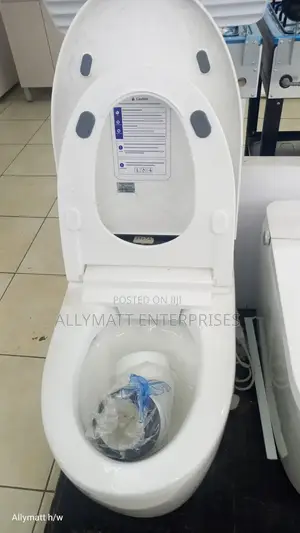 Smart Toilet 8809a
